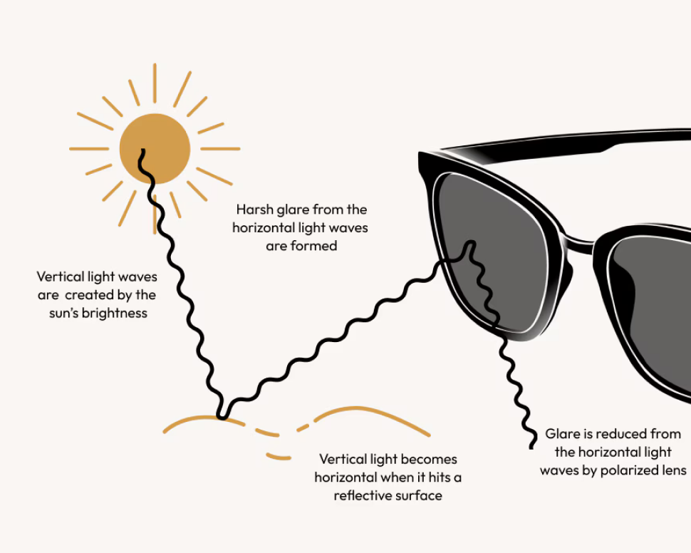 How polarized lenses work infographic