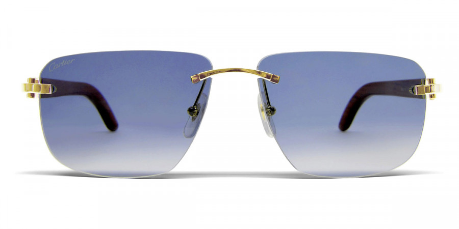 Cartier CT0040RS C Décor sunglasses