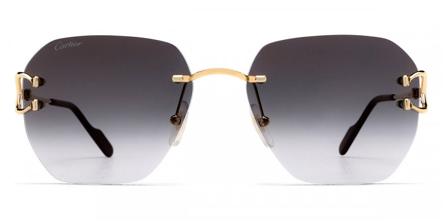 Signature C De Cartier Sunglasses for Men