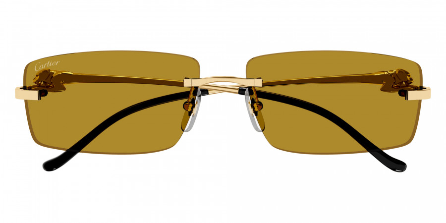 Cartier CT0430S sunglasses