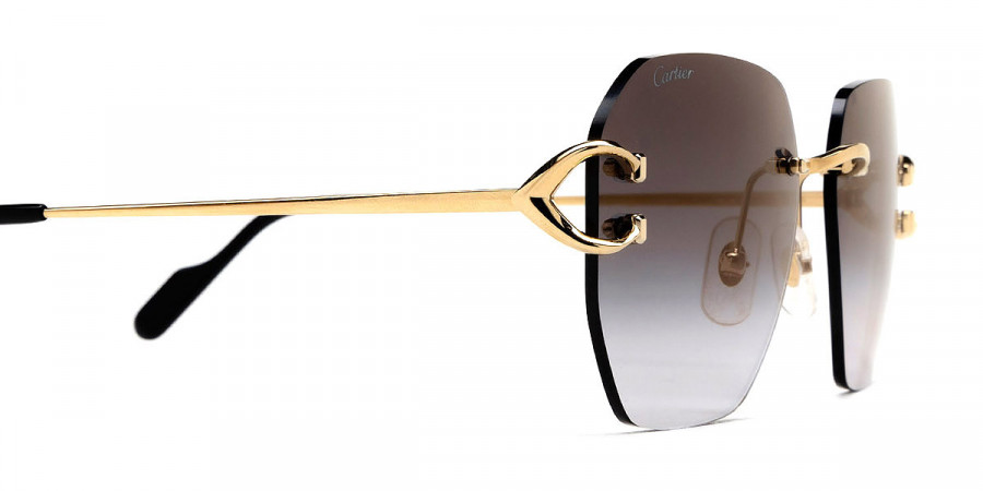 Cartier CT0394S Signature C De Cartier sunglasses