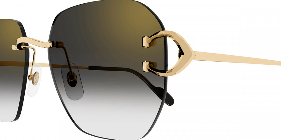 Cartier CT0394S sunglasses