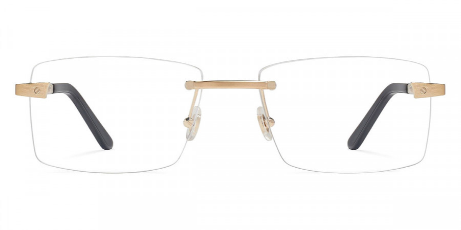 Cartier CT0167O eyeglasses