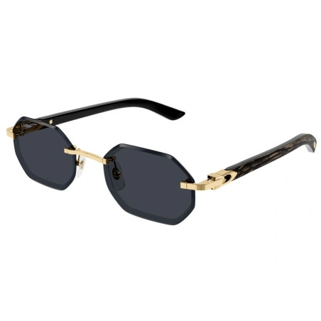  Cartier CT0439S C Décor original sunglasses