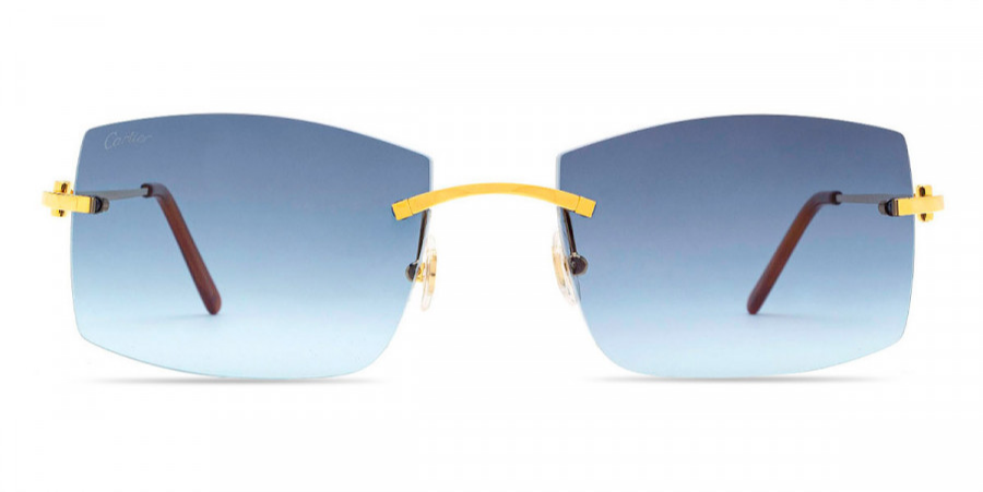 CT0005RS Cartier C Décor sunglasses