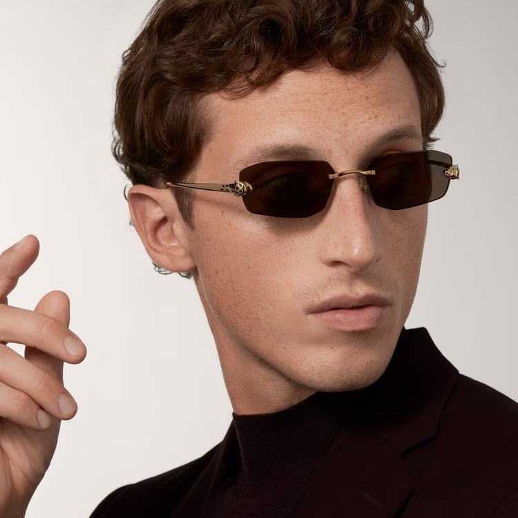 Panthère de Cartier sunglasses on men 2