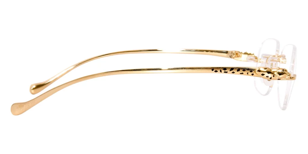 Panthère de Cartier CT0058O frames