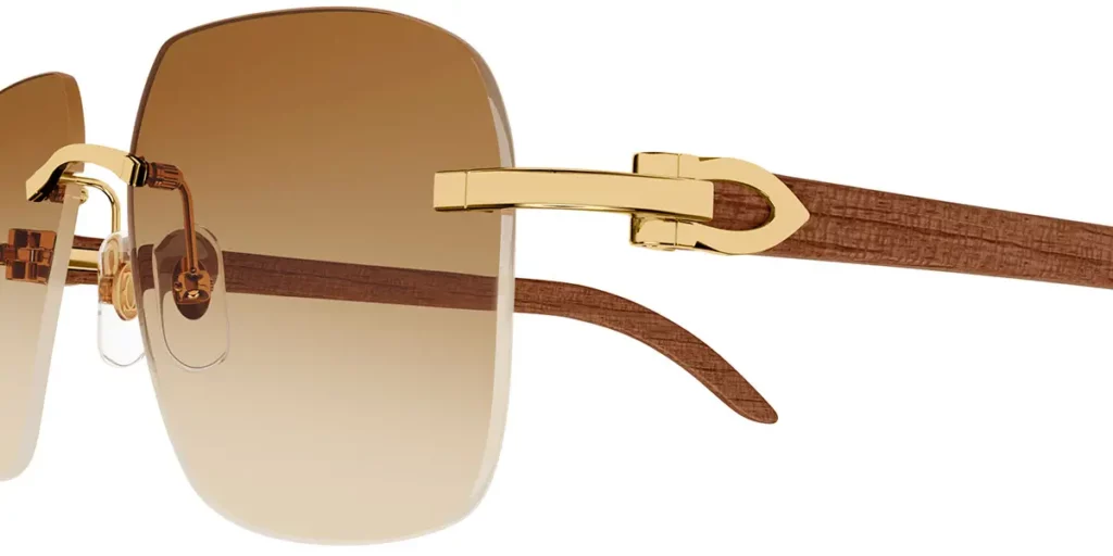 Cartier CT0041RS C Décor Sunglasses