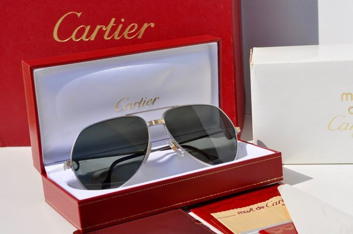 Cartier vintage Vendôme SANTOS shades