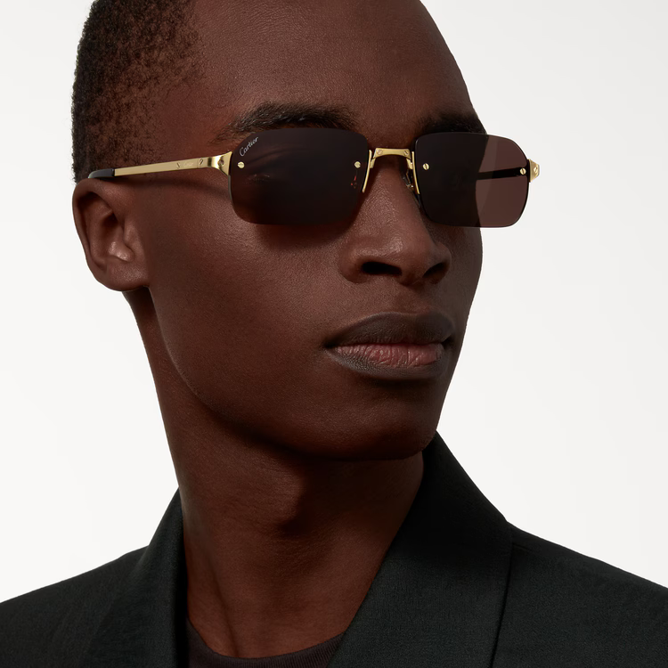 Santos de Cartier sunglasses on men