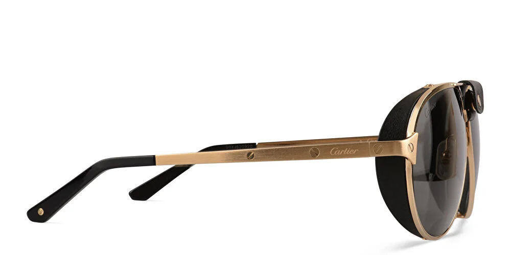 luxury Santos de Cartier sunglasses