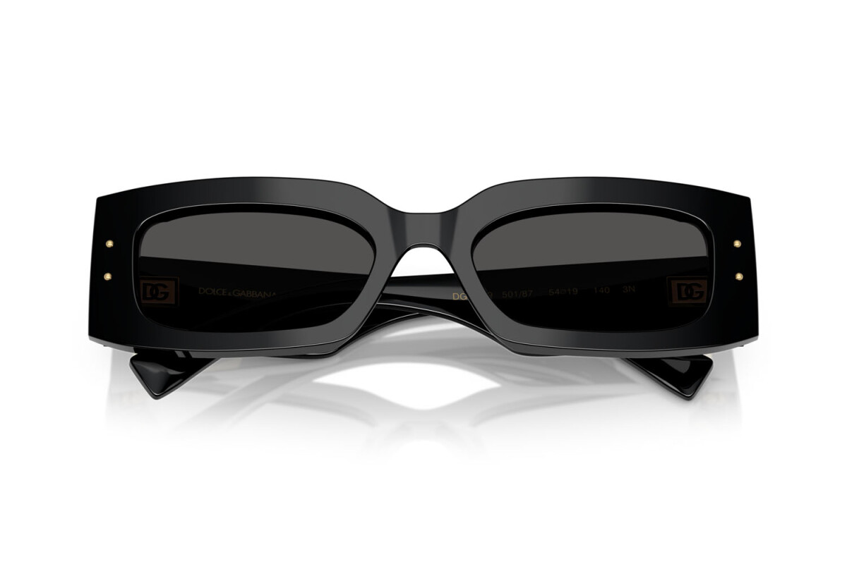 sunglasses dg4479 dolce and gabbana