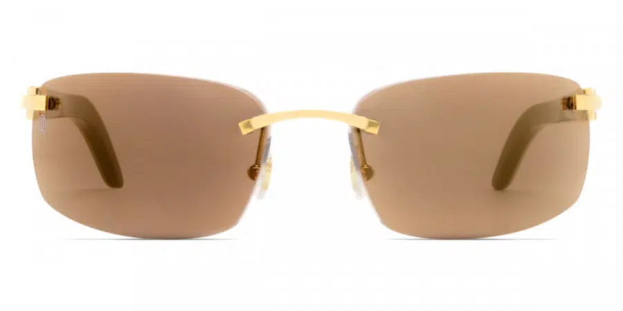 Cartier CT0046S C Décor sunglasses