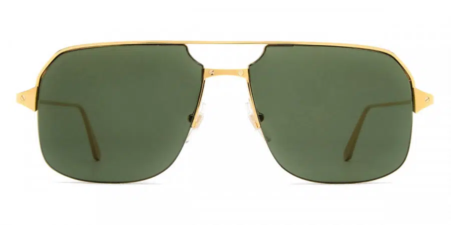 Santos de Cartier CT0230S 002 sunglasses