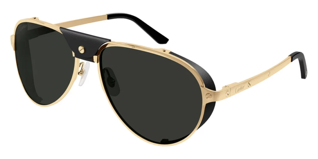 CT0296S Santos De Cartier sunglasses