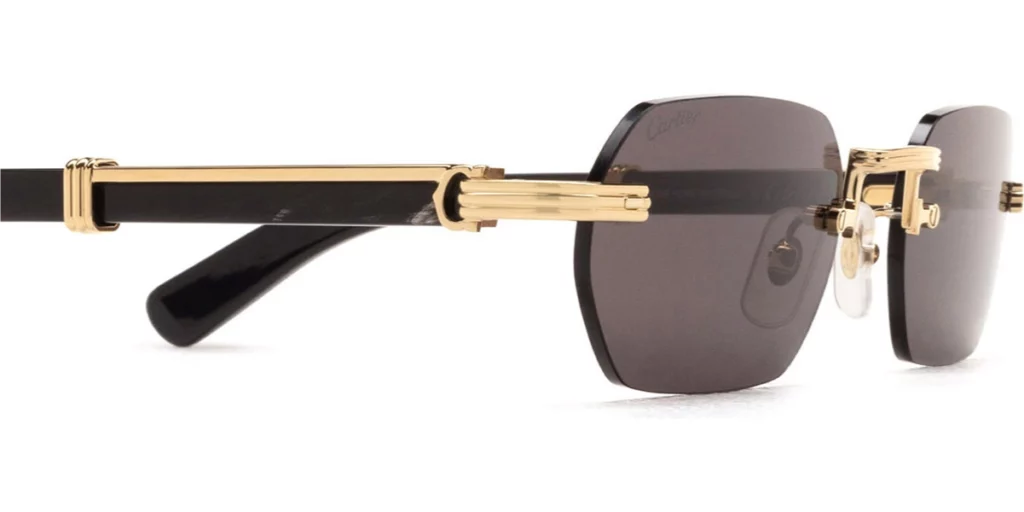 CT0362S 001 sunglasses