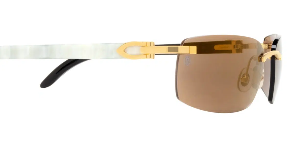 CT0046S C sunglasses