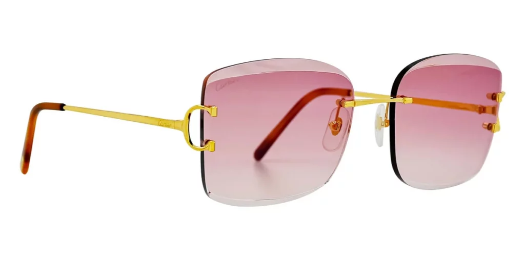 CT0007RS 001 sunglasses