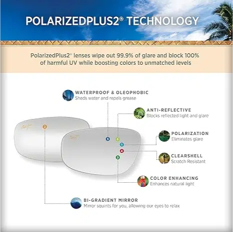 PolarizedPlus technology