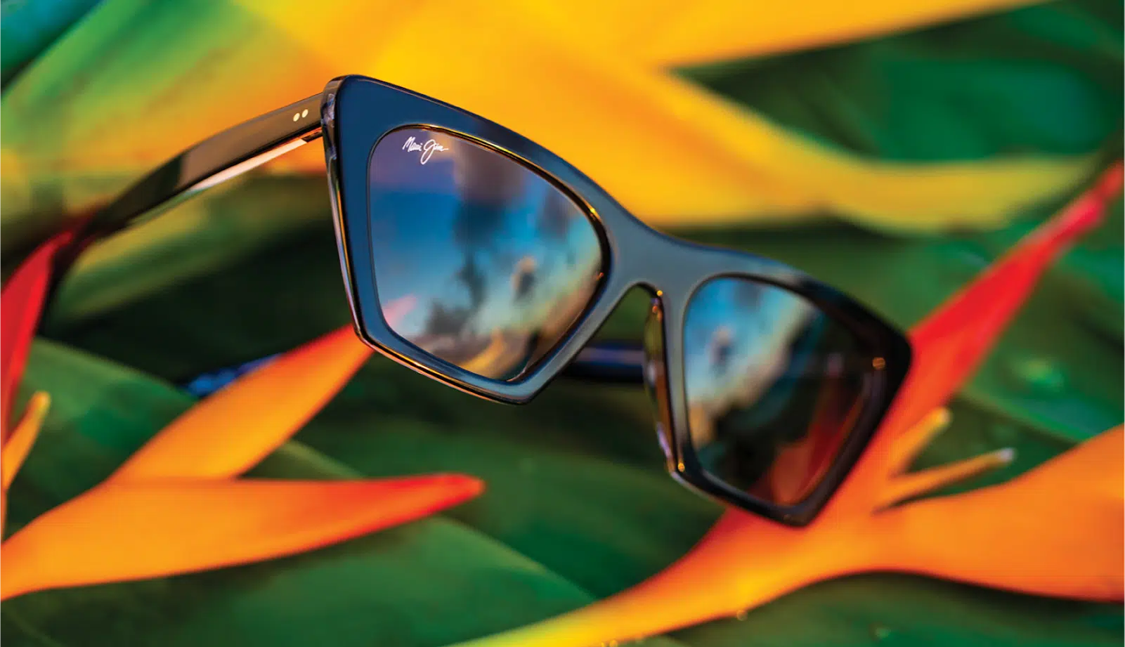 Black sunglasses by Maui Jim