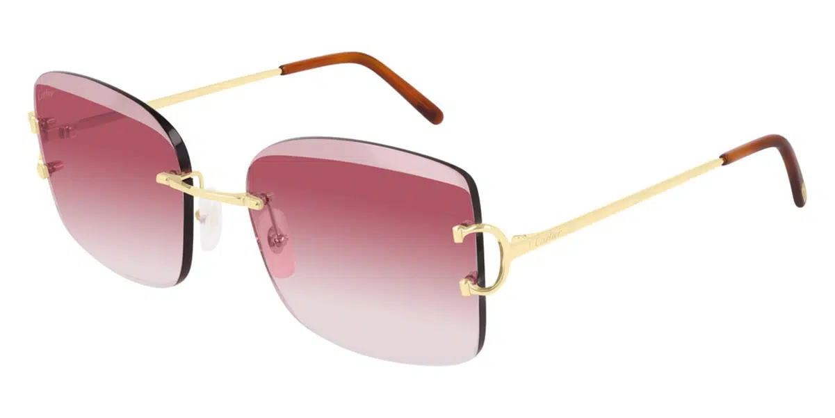 CT0007RS 001 sunglasses