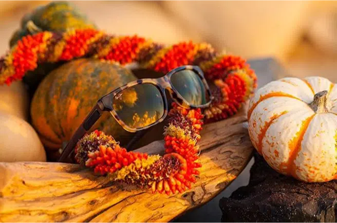 Maui Jim shades: excellent performance and comfort