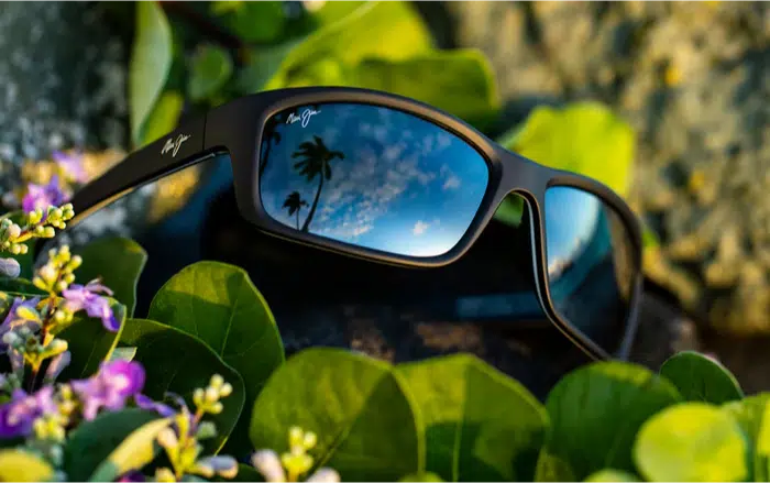 Maui Jim sunglasses