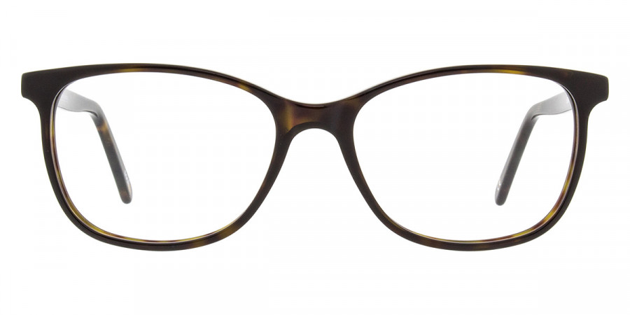 Andy Wolf™ 5080 B 50 - Brown/Black