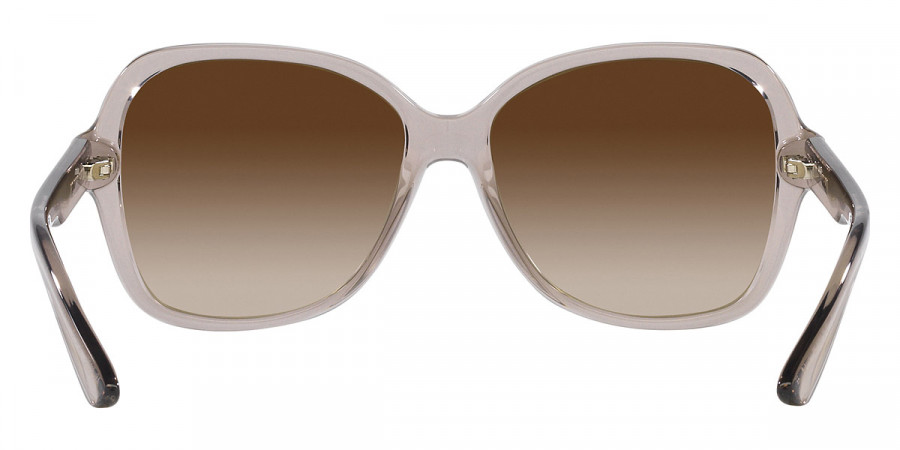 Color: Transparent Tundra (824013) - Armani Exchange AX4029S82401357