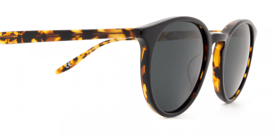 Barton Perreira™ - Princeton Sunglasses