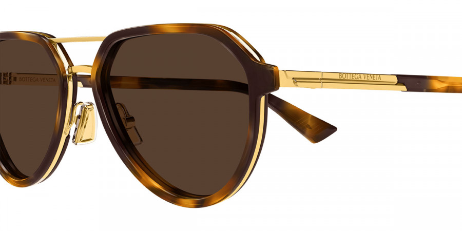 Color: Havana/Gold (002) - Bottega Veneta BV1373S00255