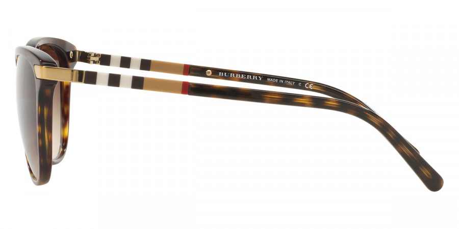 Color: Dark Havana (300213) - Burberry BE421630021357