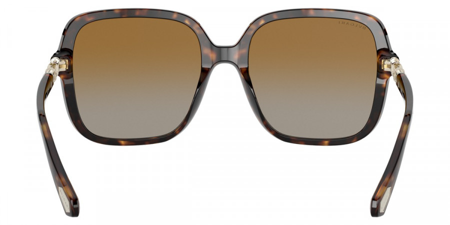 Color: Havana (504/T5) - Bvlgari BV8228BF504/T557