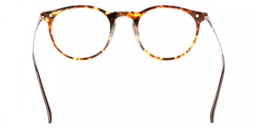 Color: Vintage Havana (237) - Calvin Klein CKOCK22527T23749