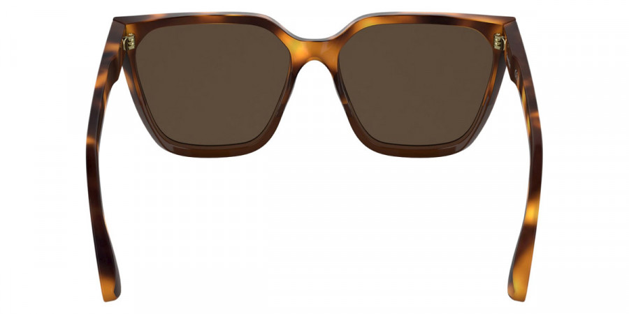 Color: Havana/Brown (238) - Calvin Klein CKOCK25500S23857