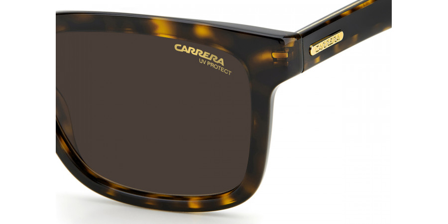 Color: Havana (008670) - Carrera CAR251/S00867053