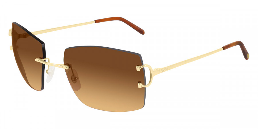 Color: Gold (001) - Cartier CT0009RS00157