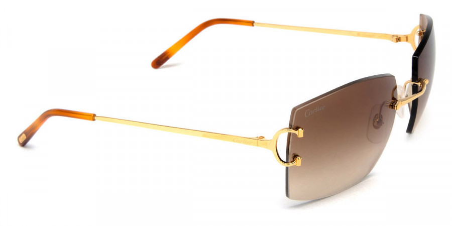 Color: Gold (001) - Cartier CT0009RS00157