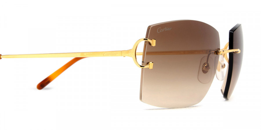 Color: Gold (001) - Cartier CT0009RS00157