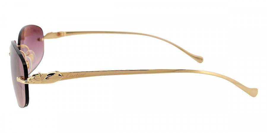 Color: Gold (001) - Cartier CT0026RS00155