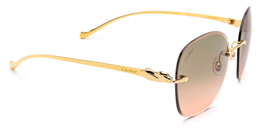 Color: Gold (001) - Cartier CT0028RS00155