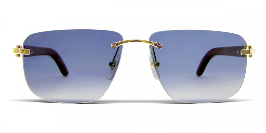 Cartier™ - CT0040RS C Décor