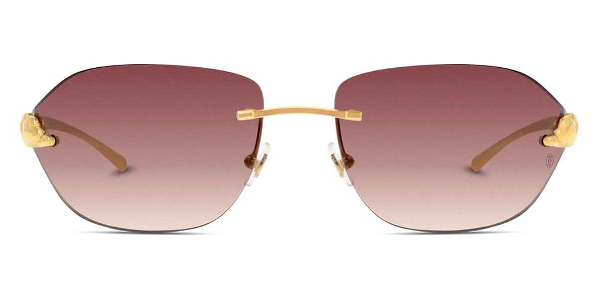 Cartier - Sunglasses - Catawiki