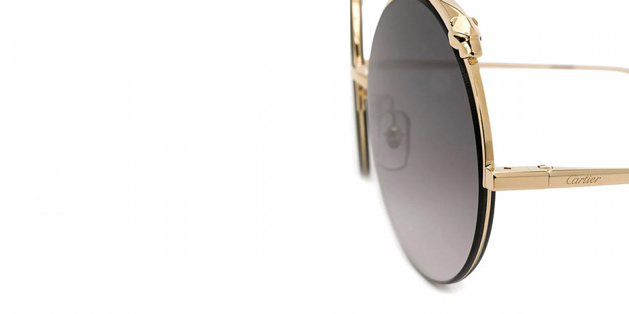 Color: Gold (001) - Cartier CT0149S00160