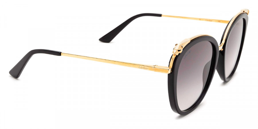 Color: Black/Gold (001) - Cartier CT0150S00155