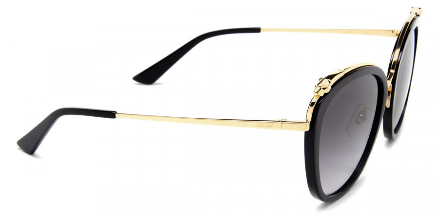 Color: Black/Gold (001) - Cartier CT0150SA00156