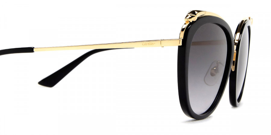 Color: Black/Gold (001) - Cartier CT0150SA00156