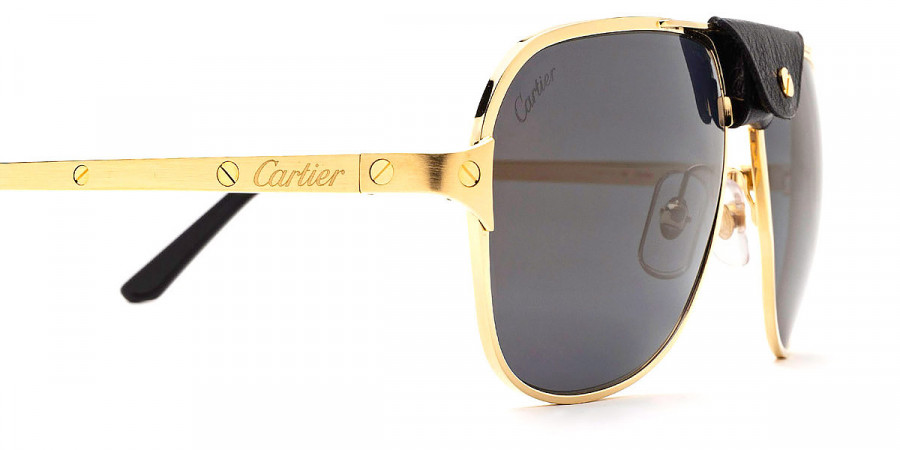 Cartier™ - CT0165S Santos De Cartier