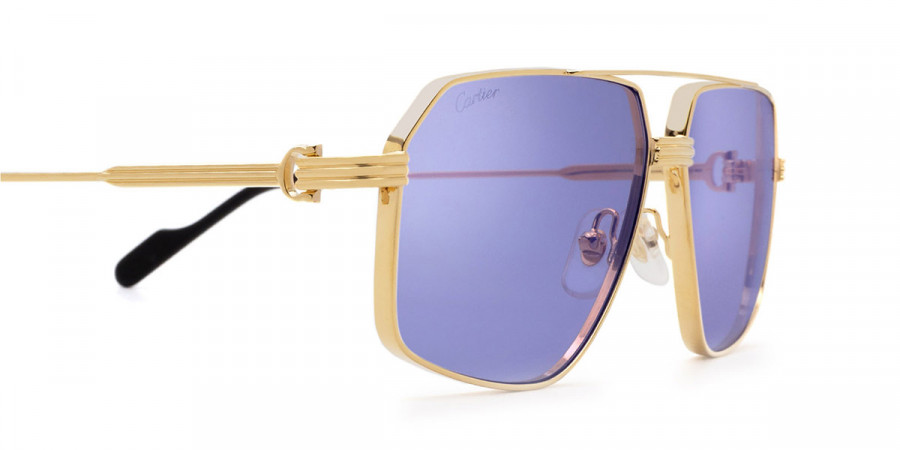 Color: Gold (009) - Cartier CT0270S00958