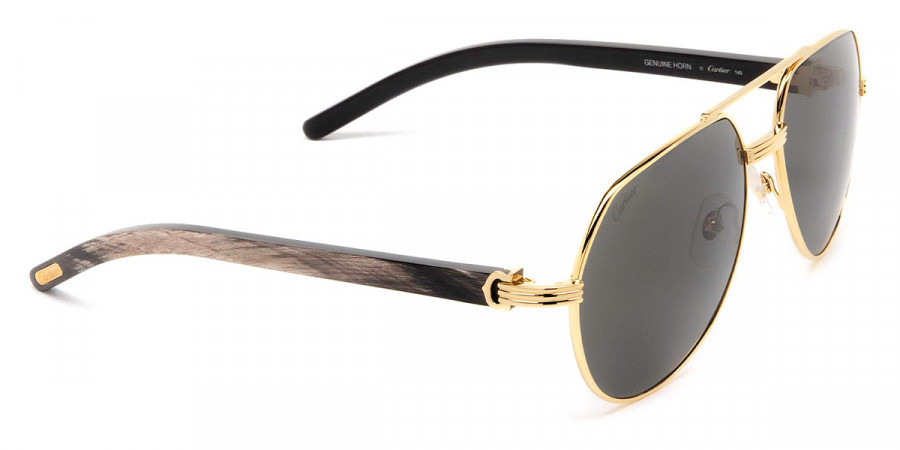 Color: Gold/Black (001) - Cartier CT0272S00160